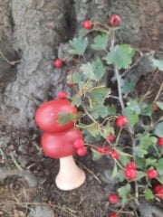 Ahşap Oyuncak 10lu ağaç set